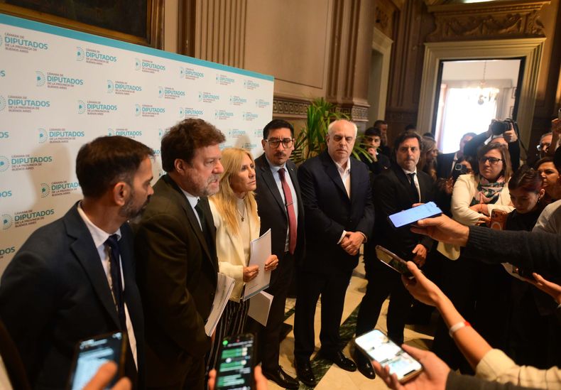 Diputados forzaron una sesión para tratar el tema IOMA.