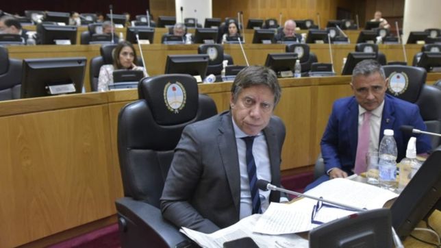 ricardo bussi, el espejo tucumano de bullrich