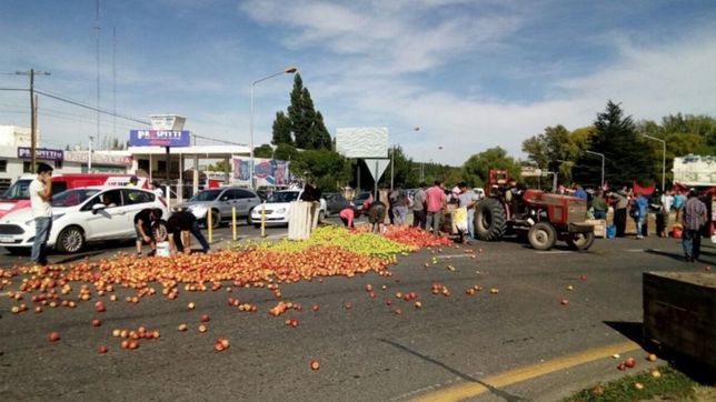 carreras propone la exencion total de ingresos brutos para la fruticultura