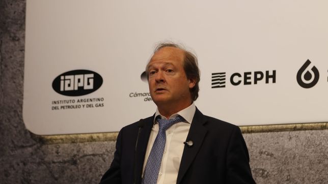 Daniel González anunció el RIGI Vaca Muerta