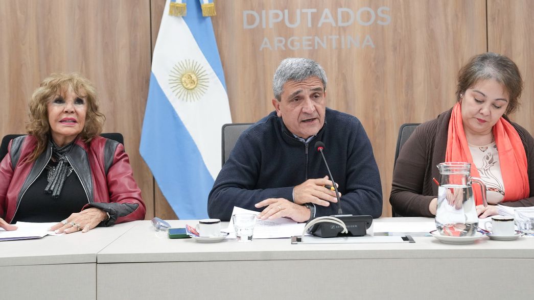 Pablo Yedlin en la comisión de Salud, que definió interpelar a Guillermo Francos, Karina Milei y Mario Lugones. 