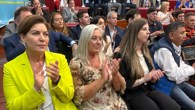 Chubut en el Congreso. La diputada Ana Clara Romero (PRO), las senadoras Edith Terenzi (UCR) y Andrea Cristina (PRO) y el diputado petrolero Jorge "Loma" &Aacute;vila (Encuentro Federal). Detr&aacute;s de Romero, el diputado Jos&eacute; Glinski (UP).