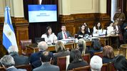 El debate de la reforma electoral en el Senado, con Patricia Bullrich. El debate de la reforma electoral en el Senado, con Patricia Bullrich.