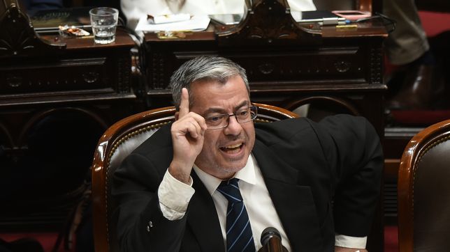 Germán Martínez, jefe del kirchnerismo, que iniciará una investigación a Javier Milei sobre el Libragate.
