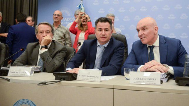 Nicolás Mayoraz (LLA), Gabriel Bornoroni (LLA) y José Luis Espert (AL), tuvieron a cargo los plenarios de la Ley Ómnibus. 