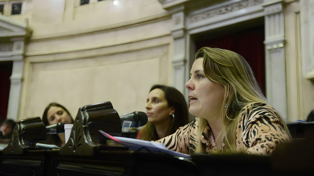 La diputada Magalí Mastaler podría ser la ficha de La Cámpora en Santa Fe para la lista de octubre.