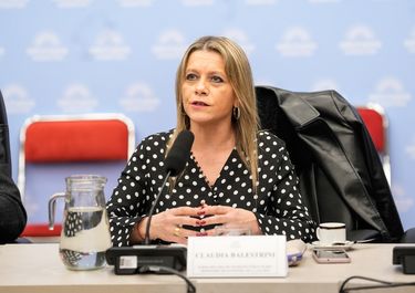 Claudia Balestrini, subsecretaria de Ingresos Públicos, expuso uno de los proyectos centrales para el Gobierno, que negocia con la oposición.&nbsp;&nbsp; &nbsp;
