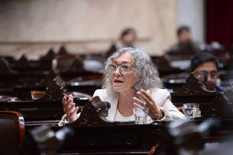 Mónica Frade, diputada de la Coalición Cívica.&nbsp;