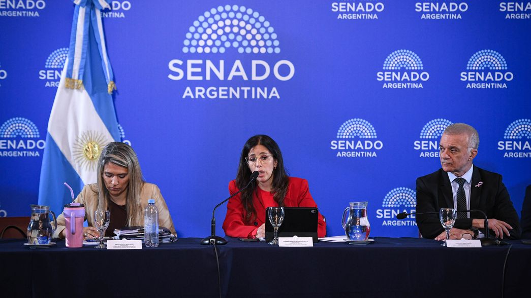 La sesión del Senado en la que se debatió la ley de salud mental, acordada por los gobernadores.&nbsp;