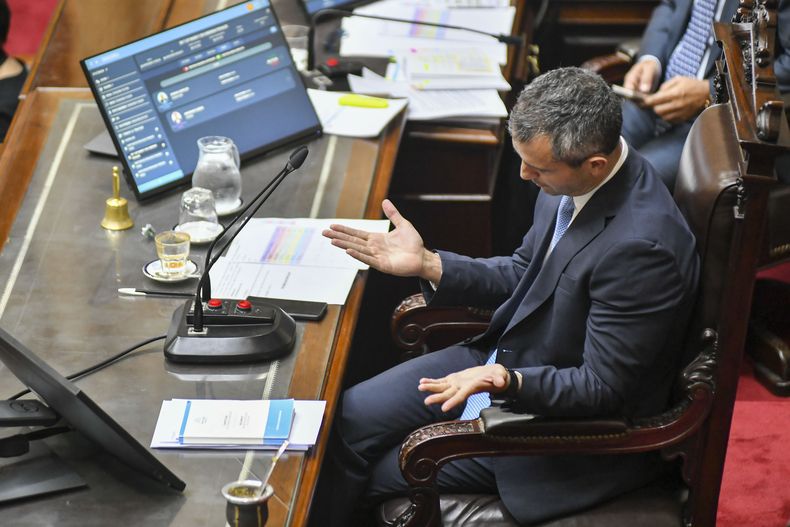 Martín Menem, presidente de la Cámara de Diputados.&nbsp;