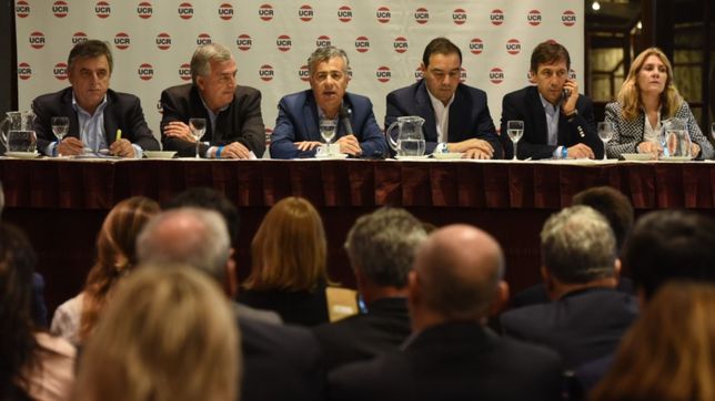 adelante, radicales: cornejo blanqueo el plan para de competir con el pro en las paso