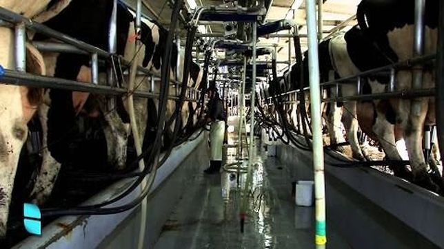 tamberos bonaerenses, en pie de guerra contra la industria y el gobierno