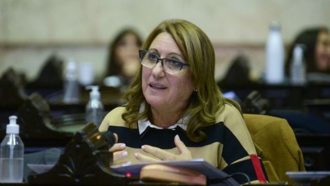 Mónica Fein, presidenta del Partido Socialista.