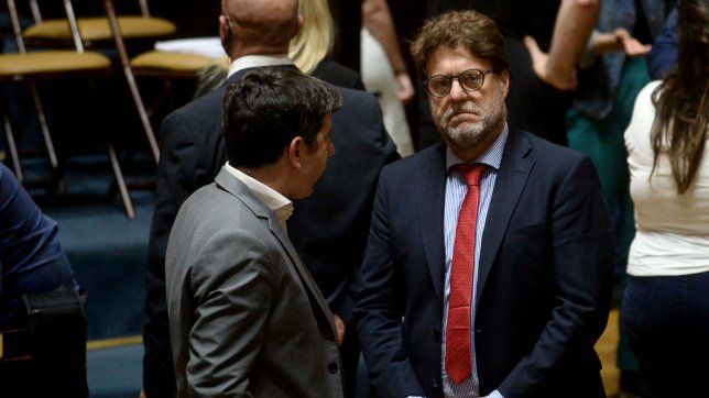 Diego Garciarena y Pablo Domenichini.