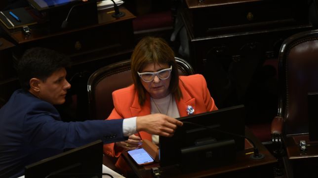 Patricia Bullrich, en el Senado.&nbsp;