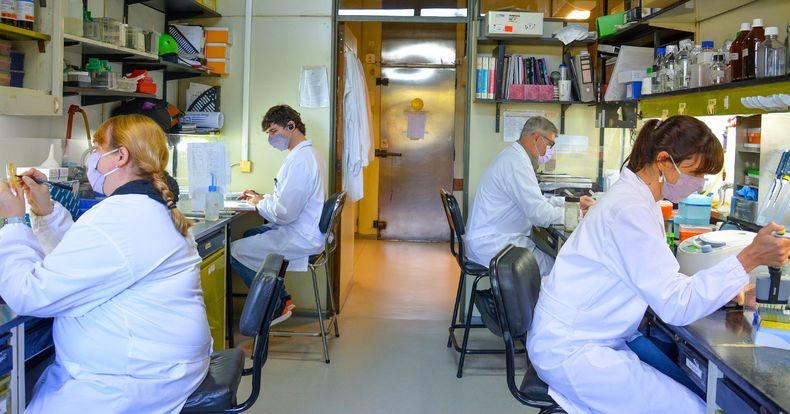 El Conicet, emblema del sistema cient&iacute;fico nacional, bajo la motosierra de Javier Milei.&nbsp;