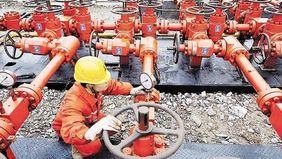 Era del hielo: prorrogan el precio del gas y congelan tarifas hasta 2021