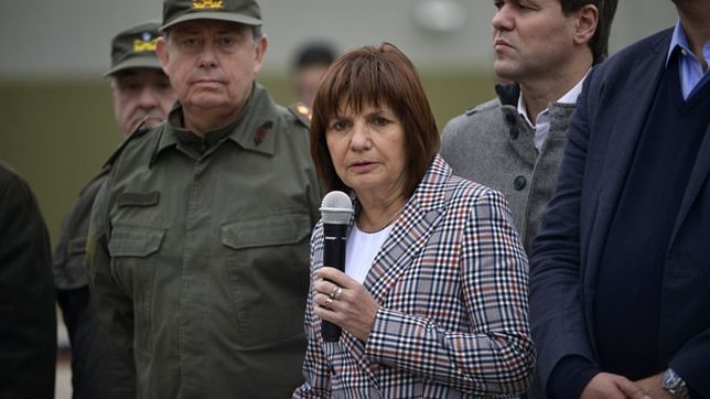 con bullrich al mando, el pro hace lena del arbol de la inseguridad en rosario