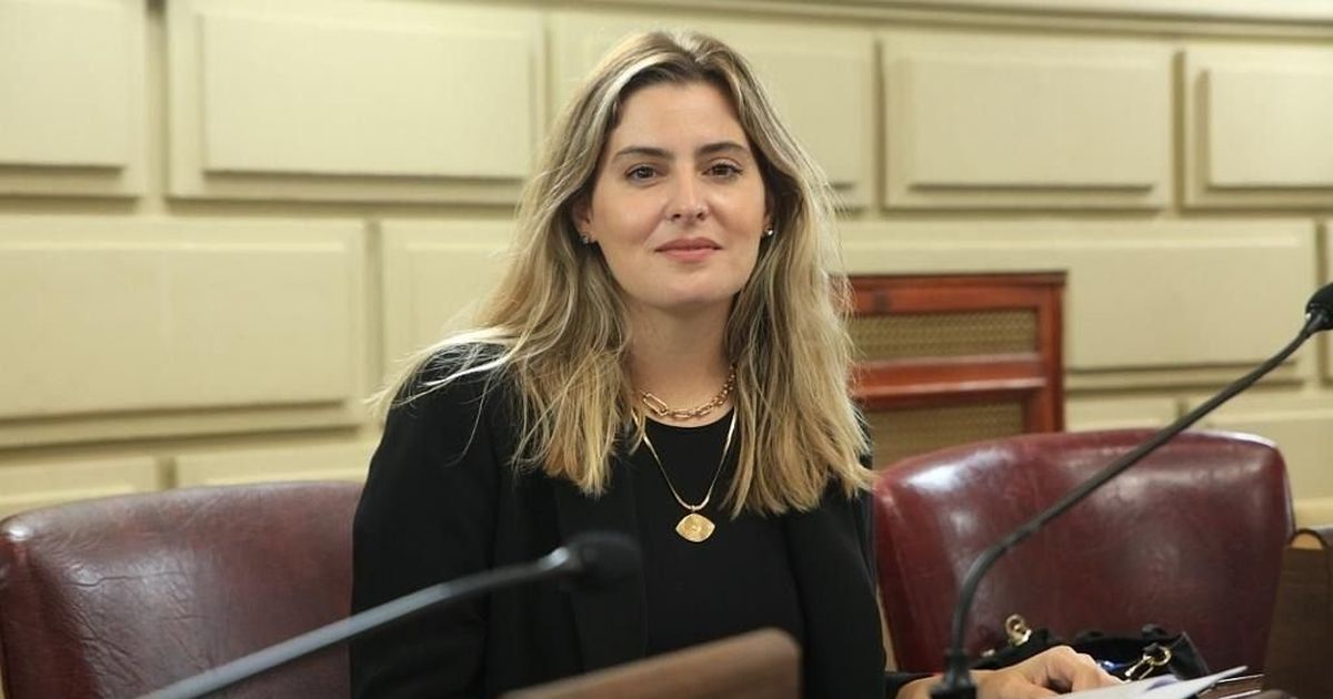 Santa Fe: quién es la diputada socialista que va contra un juez vinculado  al narco