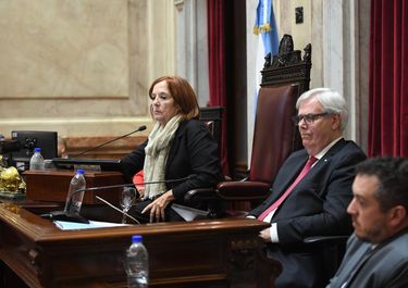 Alejandra Vigo, senadora de Provincias Unidas, apoyó la reforma laboral&nbsp;