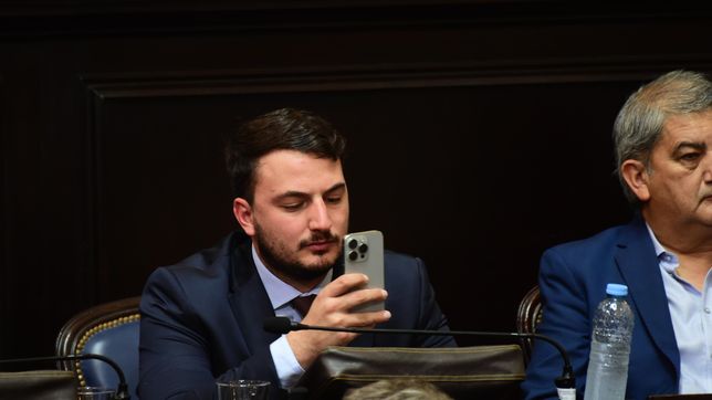 Agustín Romo, jefe del bloque de La Libertad Avanza en la Cámara de Diputados de la Legislatura bonaerense.