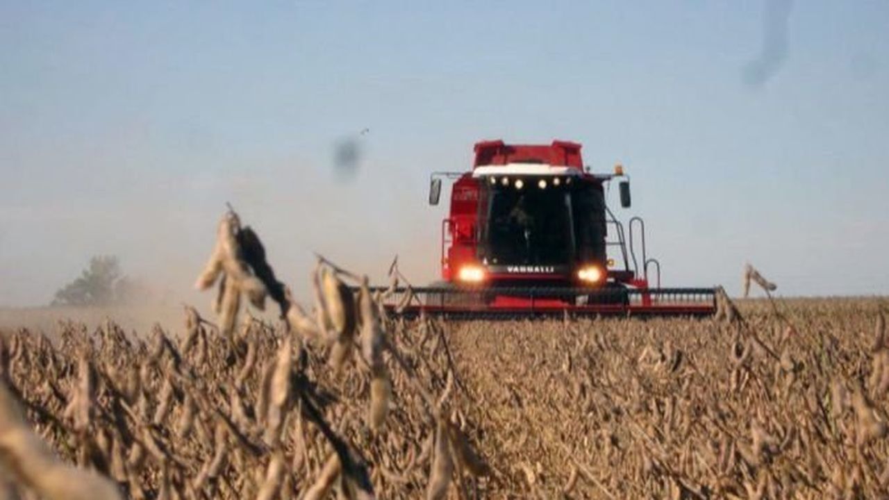 No prende el dólar-soja en el campo bonaerense