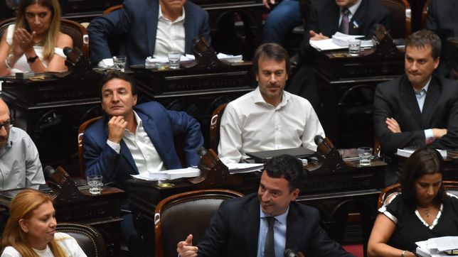 El bloque UCR, durante la sesión de la ley ómnibus.&nbsp;