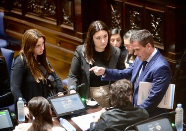 Julieta Quintero Chasman en la Legislatura bonaerense (AGLP)