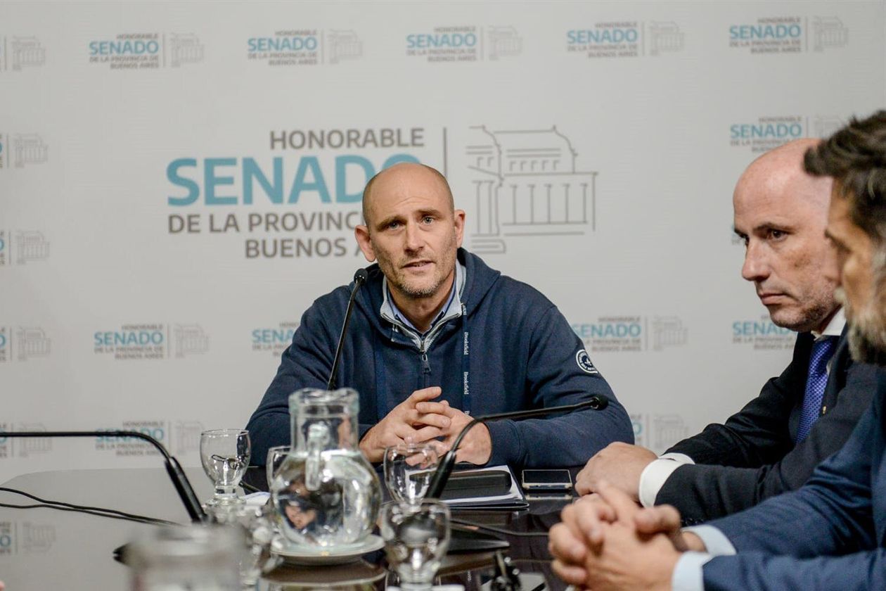 Germán Lago, presidente de la comisión de Legislación General del Senado.