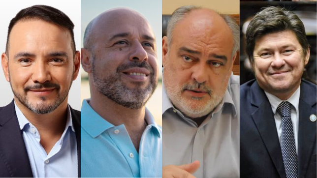 Juan Pablo Valdés, Tincho Acúa, Ricardo Colombi y Lisandro Almirón tendrán sus candidatos nacionales para alimentar su campaña provincial. 