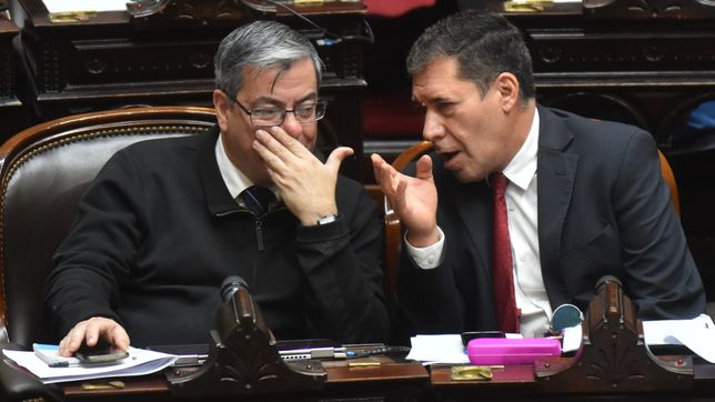 Germán Martínez y Sergio Casas, de Unión por la Patria, que se resiste a aprobar el Presupuesto de Javier Milei.&nbsp;
