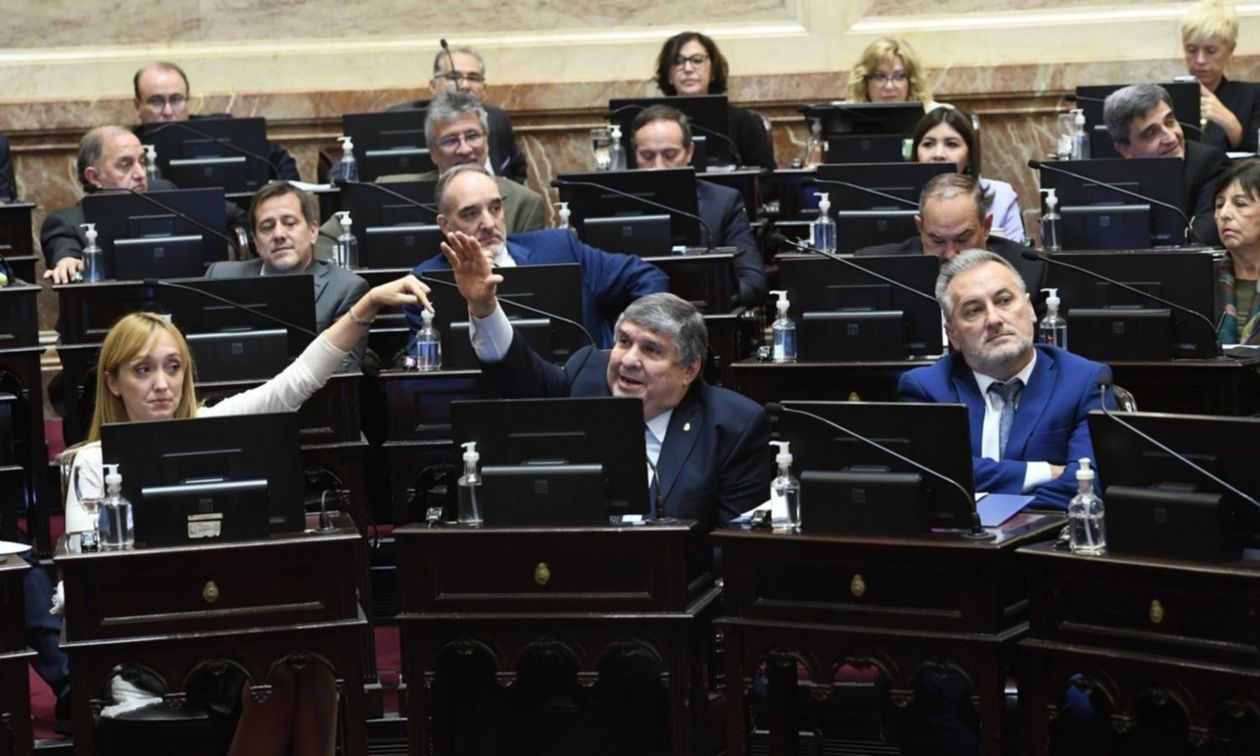 Mayans Sagasti Senado