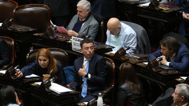 la ucr bloqueo el debate del presupuesto educativo y pide una sesion para julio