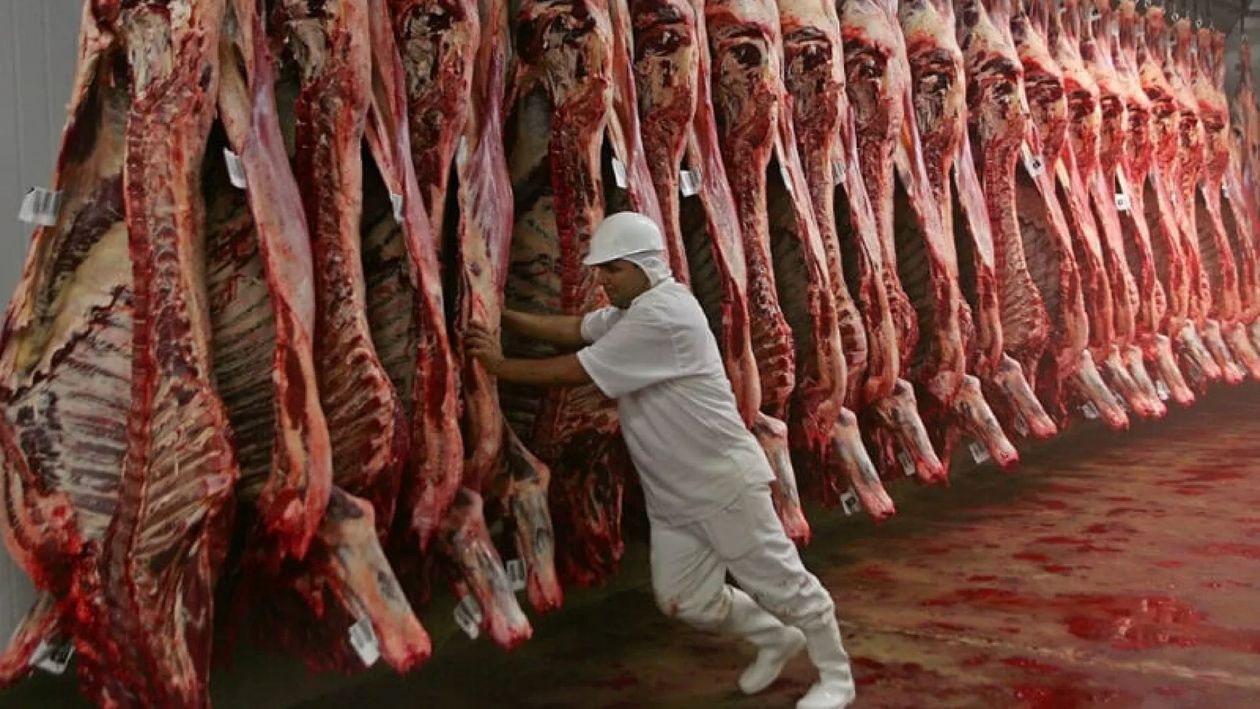 En el sector vacuno, las importaciones se duplicaron.