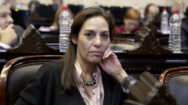 tras anuncio de carrio, diputada de lousteau implora internas en la ciudad