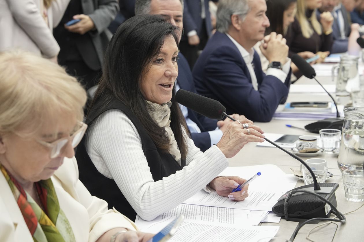 Silvana Giudici y Laura Rodríguez Machado (La Libertad Avanza).&nbsp;