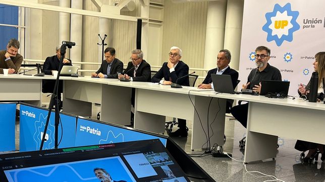 san martin, up y el rulo marketinero de la patria en peligro