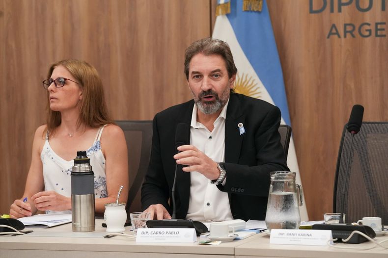 Pablo Carro, diputado de Unión por la Patria, durante el debate sobre el rol de Javier Milei en el LibraGate.&nbsp;
