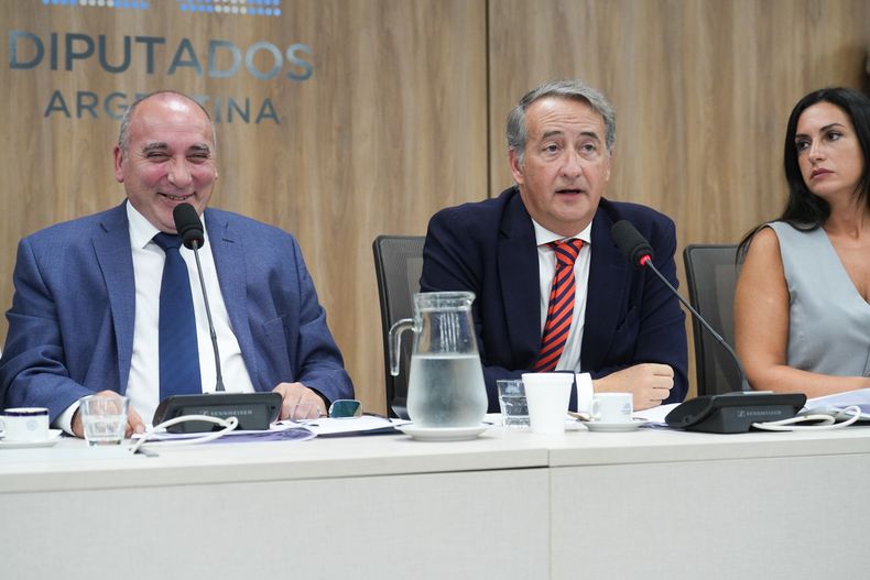 José Peluc y Nicolás Mayoraz, diputados de La Libertad Avanza. Están a cargo de la audiencia por glaciares.&nbsp;&nbsp;