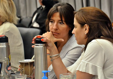 Pamela Verasay, futura jefa de la UCR en Diputados. 