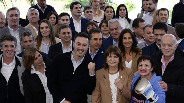 en un parentesis de la guerra con larreta, bullrich armo una foto con toda su tropa