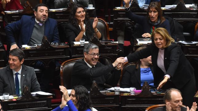 El festejo de Unión por la Patria, clave para la sanción de la ley de ATN, pedida por los gobernadores. 