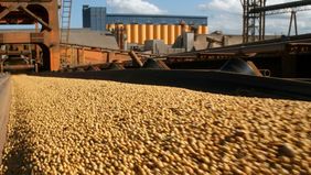 Al ritmo de los granos, crecen exportaciones bonaerenses en el primer bimestre