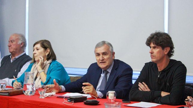 Gerardo Morales y Martín Lousteau en la mesa nacional de la UCR