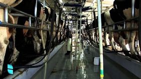 Tamberos bonaerenses, en pie de guerra contra la industria y el Gobierno