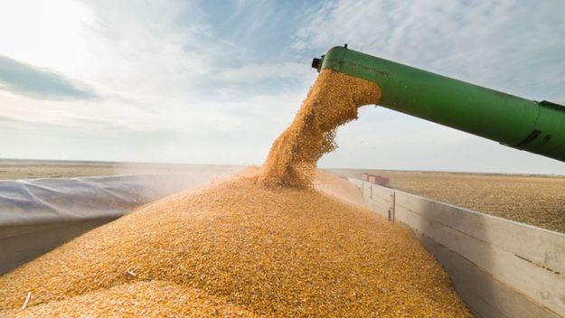 En la provincia de Vidal, las exportaciones del agro superan a las industriales