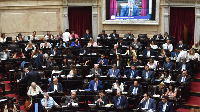 La Cámara de Diputados debate la ley ómnibus