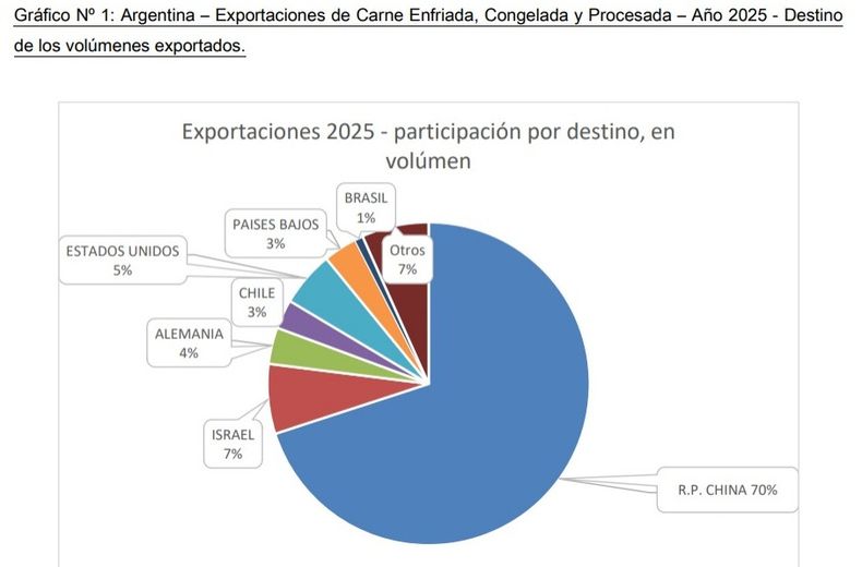 China representa el 70% de las exportaciones de carne de Argentina