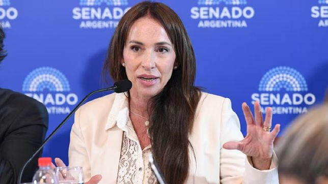 Quién es María Verónica Michelli, la candidata a jueza que abrió una grieta entre Bullrich y Javier Milei