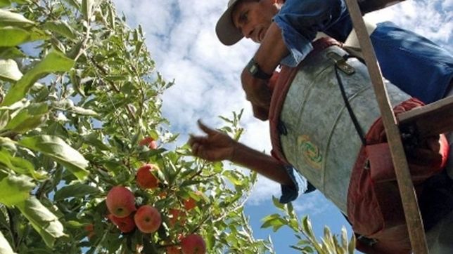 la llegada de 20 mil trabajadores golondrina inquieta a intendentes patagonicos
